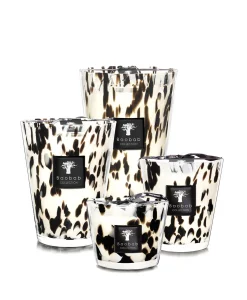 Baobab Kaars Max 24 Pearls Zwart*Lifestyle Lifestyle